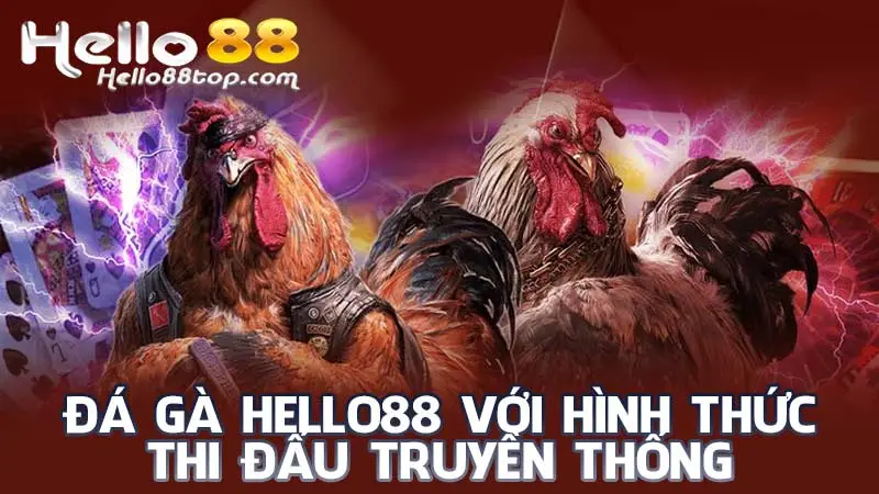 Đá gà Hello88 với hình thức thi đấu truyền thống