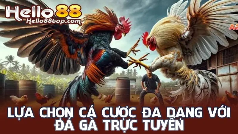 Lựa chọn cá cược đa dạng với đá gà trực tuyến