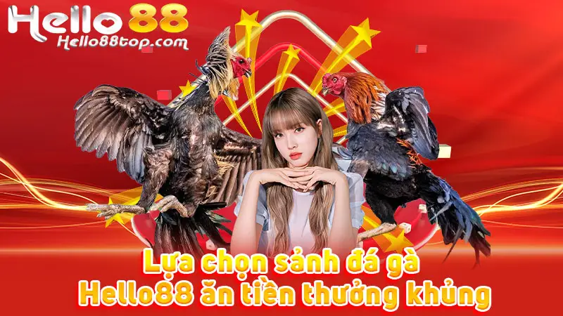 Lựa chọn sảnh đá gà Hello88 ăn tiền thưởng khủng