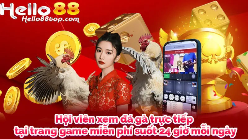 Hội viên xem đá gà trực tiếp tại trang game miễn phí suốt 24 giờ mỗi ngày