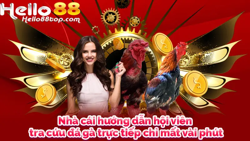 Nhà cái hướng dẫn hội viên tra cứu đá gà trực tiếp chỉ mất vài phút