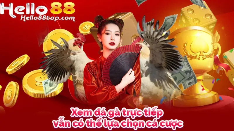 Xem đá gà trực tiếp vẫn có thể lựa chọn cá cược